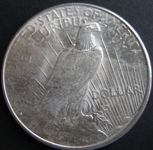 1934-D-Peace-Dollar-For-Grading